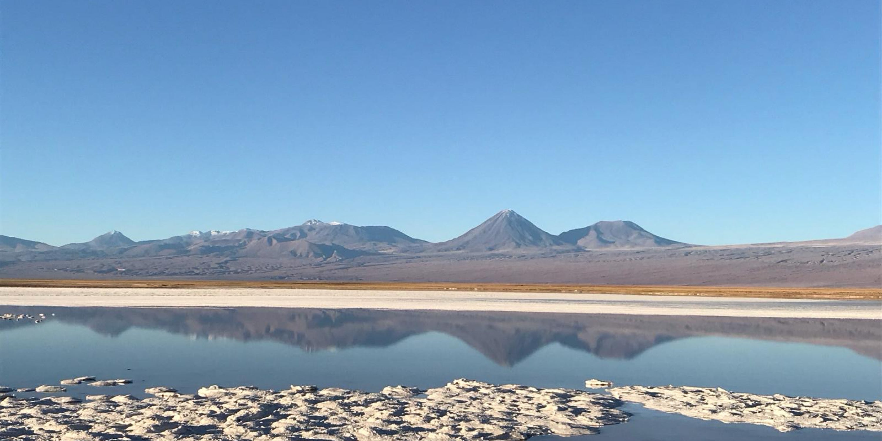 veste de protection moto durable urbaine sans marque impermeable et légère VEST PARIS